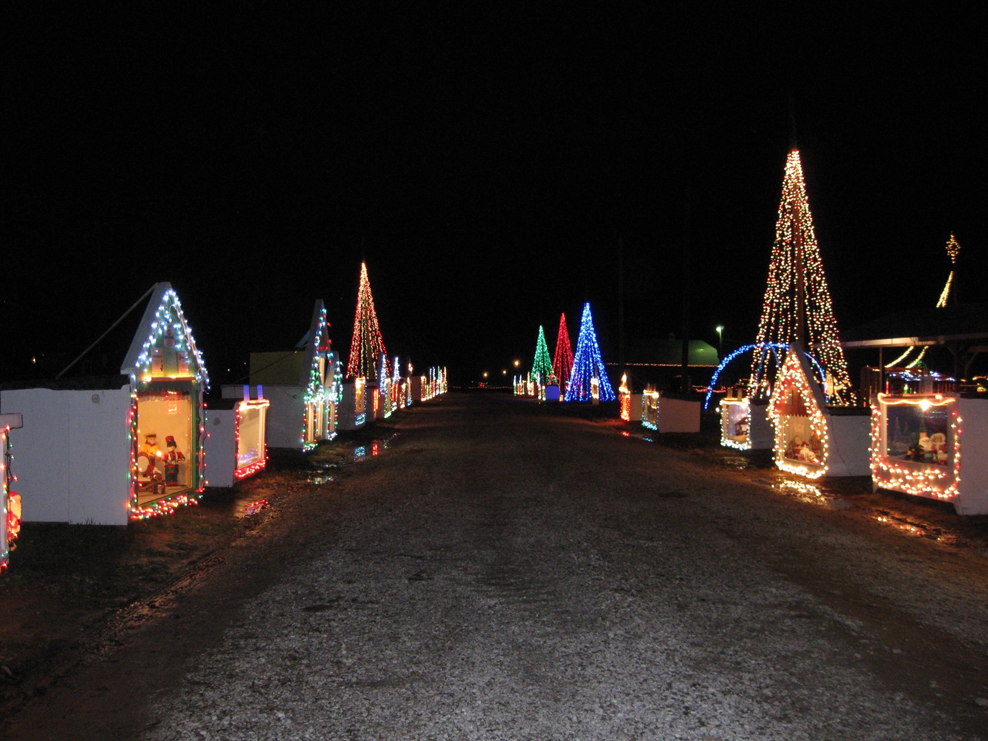 Christmas Lights Wonderland