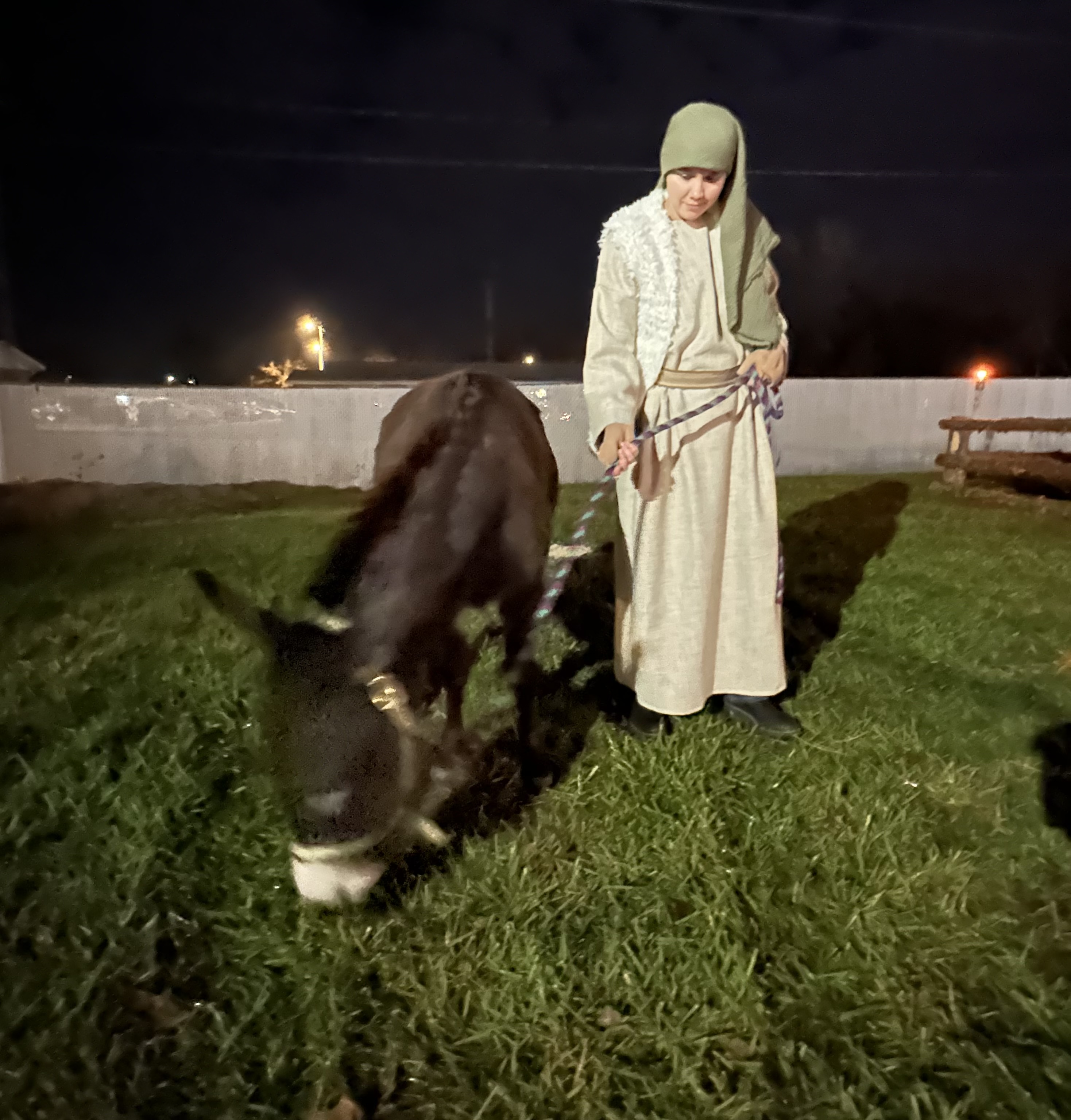 Heaven to Earth Live Nativity