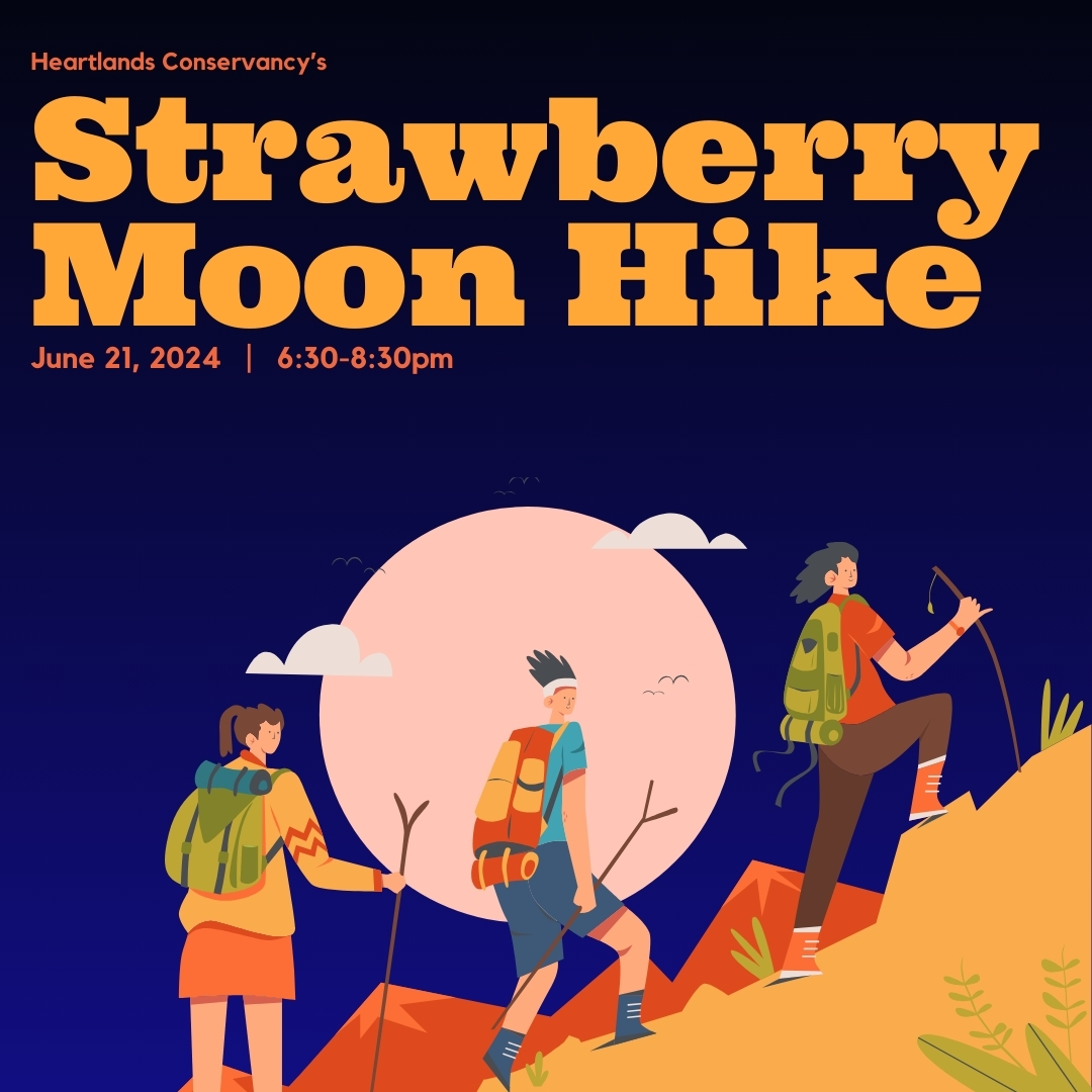 Strawberry Full Moon Hike